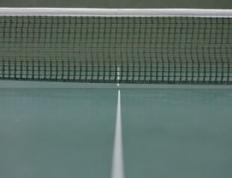 乐鱼-波兰乒乓球队血洗瑞典乒乓球队，樊振东绝境逆转