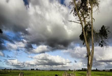 乐鱼体育网站入口-罗马险胜奥地利，格列兹曼带队取胜的简单介绍