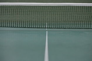 乐鱼-波兰乒乓球队血洗瑞典乒乓球队，樊振东绝境逆转